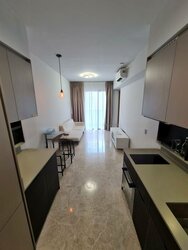 Haus On Handy (D9), Condominium #457092061